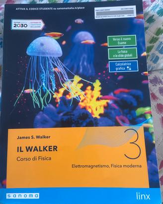 Il walker corso di fisica 3