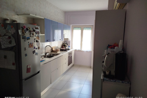 Trilocale arredato e ristrutturato colli aminei