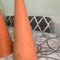 Cono per riproduzione discus e scalari