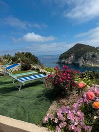 Ponza monolocale con terrazza