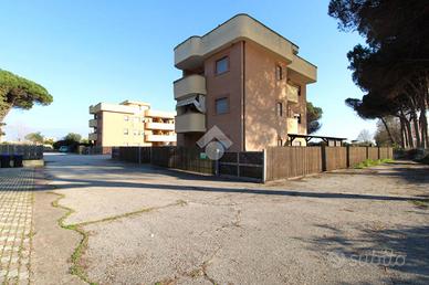 2 LOCALI A NETTUNO
