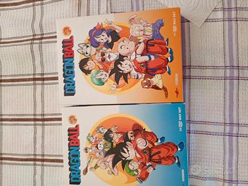 stagione 1 di Dragonball in italiano