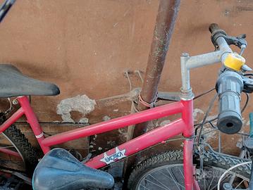 bici rosa ragazza 