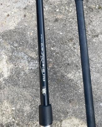 Canne Carpfishing