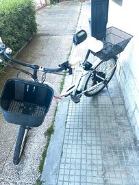 Bici elettrica