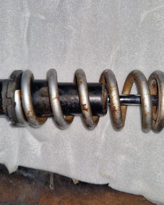 mono ammortizzatore yamaha fz1 