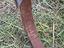 Immagine 5