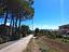 Immagine 15