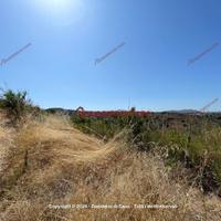 Terreno, Altavilla Milicia.