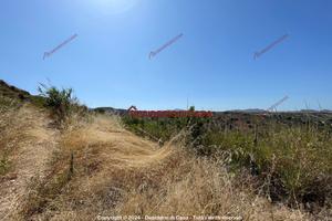 Terreno, Altavilla Milicia.