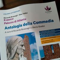 Il nuovo Palazzo di Atlante