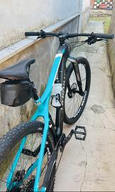 Haibike Greed 8.0 29 Carbon
