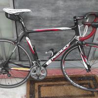 bici da corsa Ridley Orion