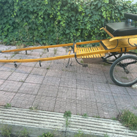 Calesse per cavallo grande con balestre