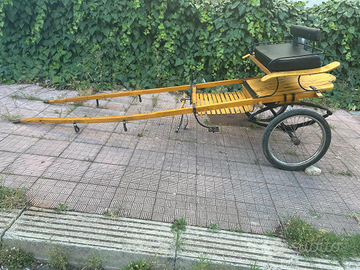 Calesse per cavallo grande con balestre