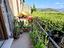 Immagine 13