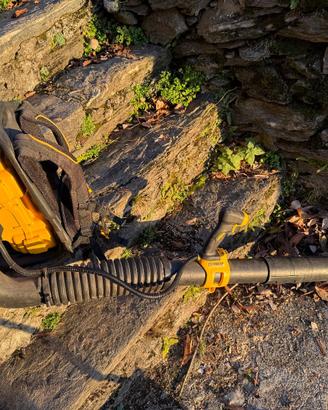 DeWalt soffiatore foglie a zaino a batteria