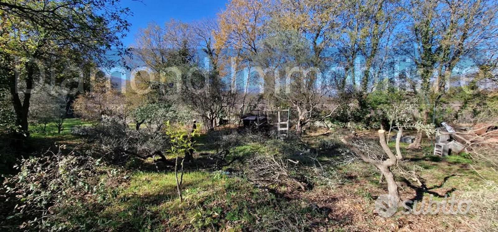 Terreno con rustico a Castiglione di Sicilia - Vista 5
