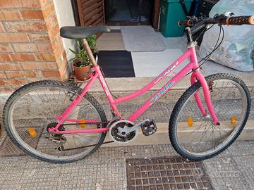 bicicletta 