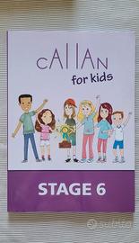 Callan for kids -stage 6