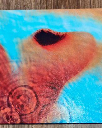 Pink Floyd - Meddle