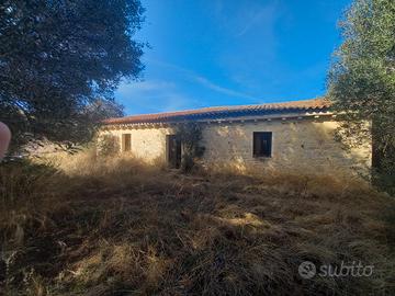 Terreno Agricolo con Stazzu in Posiz. Panoramica