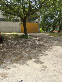 Capannone artigianale