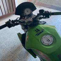 Moto Derbi 50 replica malossi