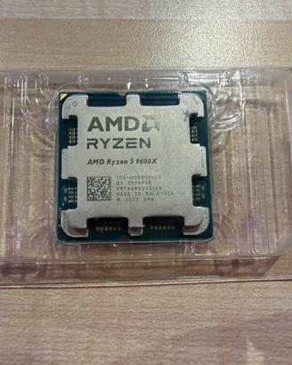 AMD Ryzen 5 9600 X