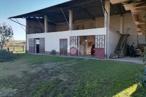 CASA INDIPENDENTE A VIGONE