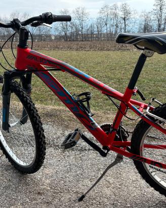 Mountain bike ragazzo/a