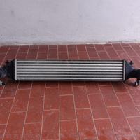 intercooler  renegade