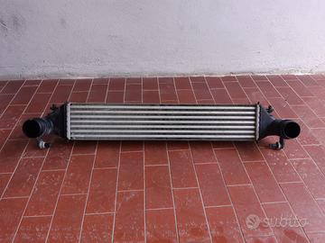 intercooler  renegade