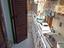 Immagine 18