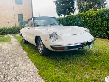 Alfa romeo spider 2000 veloce coda tronca