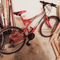 bicicletta ragazzo/a