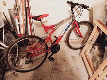 bicicletta ragazzo/a