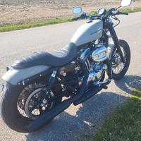 Harley-davidson  sportster 883 