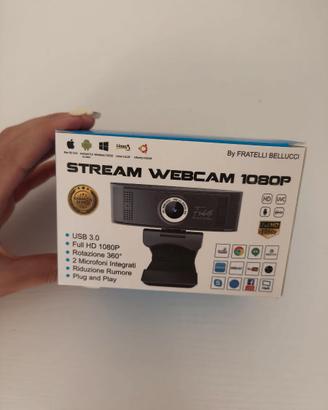 Webcam PC with Microphone Audio