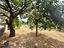 Immagine 18