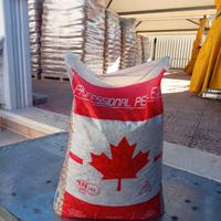 pellet canadese 