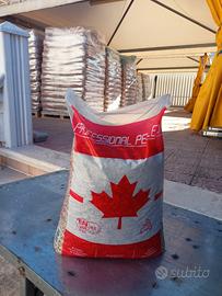 pellet canadese 
