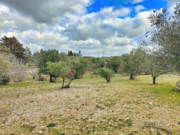 Terreno agricolo a Conversano