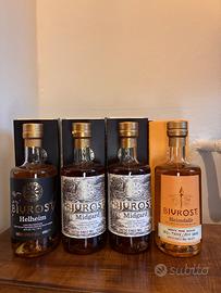 Lotto Raro Bivrost "Nine Worlds Series" - Arctic