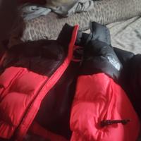the North face
