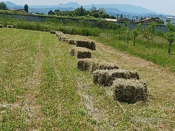 Fieno in balline