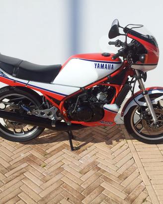 Cerchio Ant Yamaha RD 350