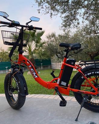 Bicicletta Elettrica Fat Bike LEM Motor 250W