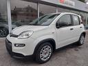 fiat-panda-1-0-firefly-s-s-hybrid-city-life