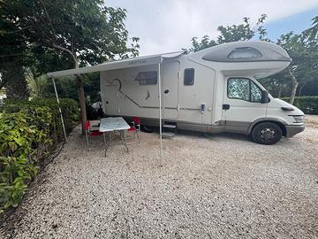 Giottiline genetics x 700